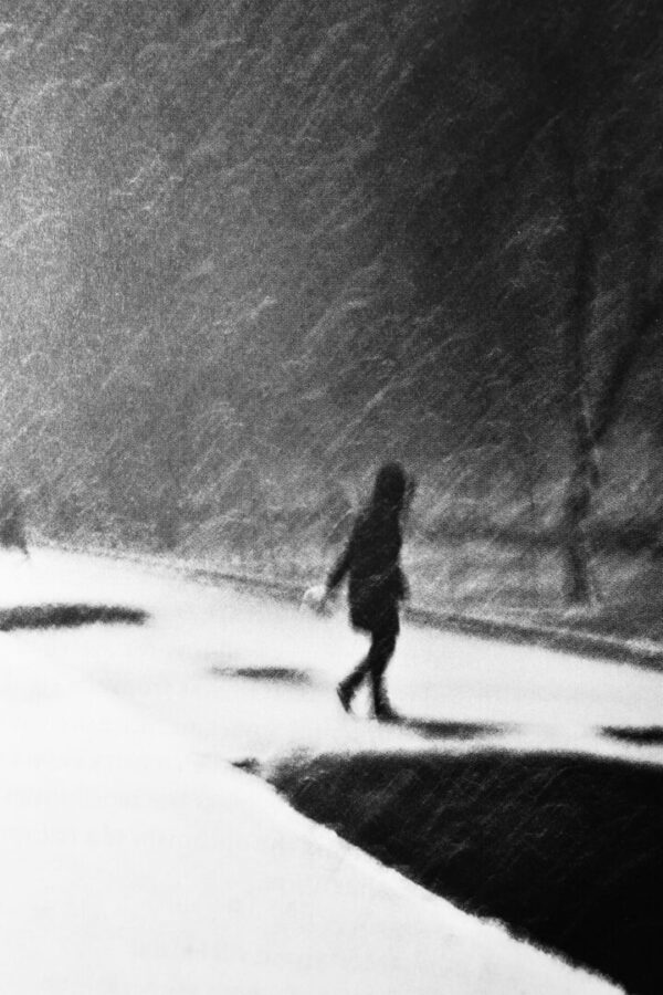 Person walking in a snowy landscape.