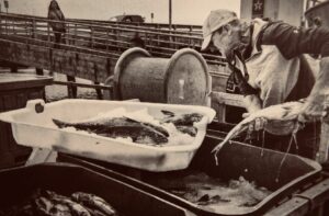 Man holding fish at a seafood market.