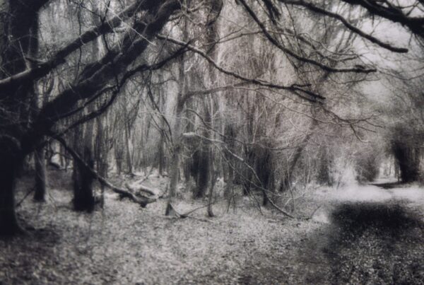 Black and white photo of a forest path.