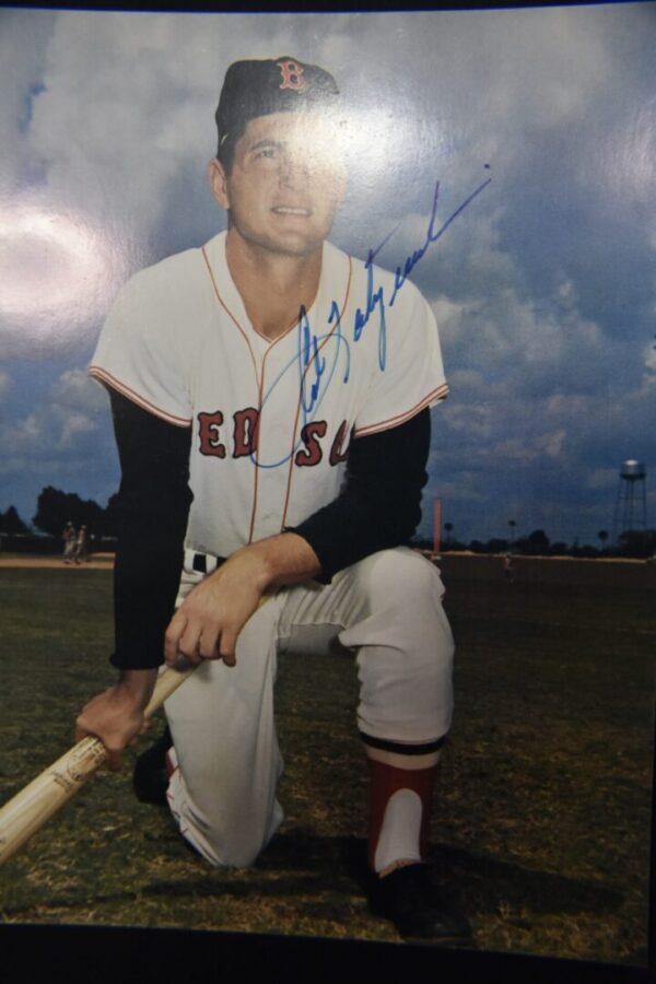 A baseball player kneeling with a bat.